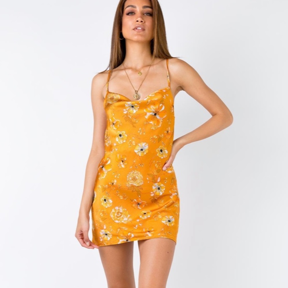 Princess Polly birds of paradise mini dress